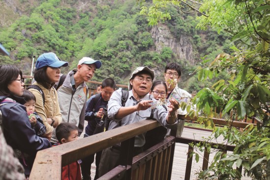 國家公園的一草一木都在大自然扮演著不同的角色,請遵守解說員的引導,不攀折植物,更不可輕易入口/太管處提供