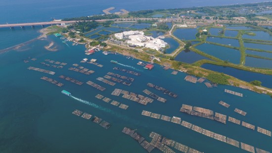 富饒的台江濕地，是人與環境共好的最佳寫照／台管處提供