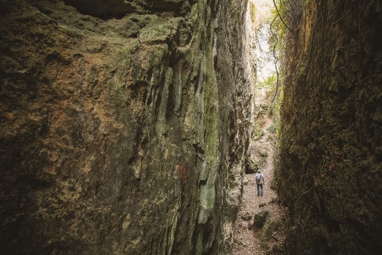 峭壁景觀是壽山的一大特色/顏歸真攝
