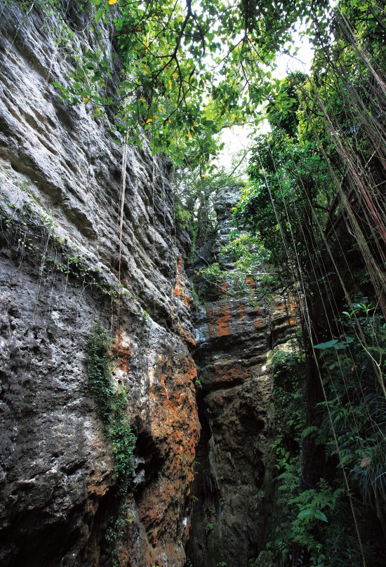 壽山海拔僅300多公尺卻擁有壯觀的峭壁景觀