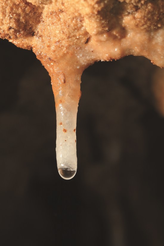 中空狀的鐘乳石會累積碳酸鈣,逐漸加粗而形成管狀鐘乳石