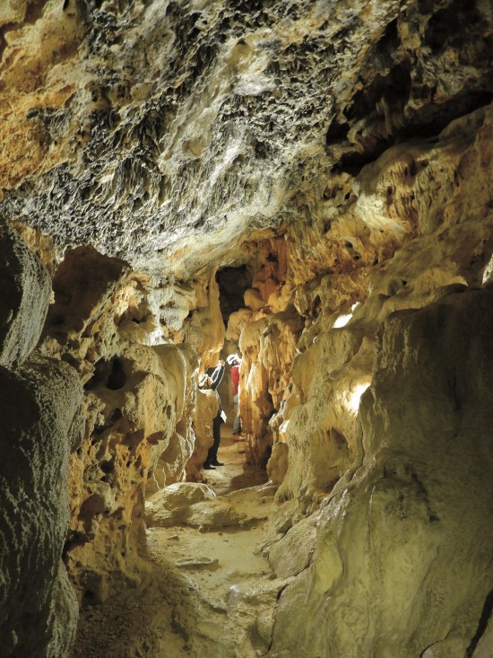 猩猩洞當中鐘乳奇石遍布