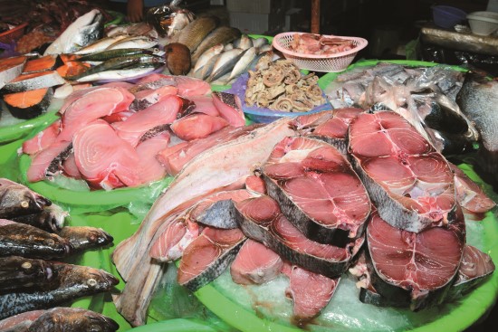 因為捕撈技術的發展，全球漁獲量仍逐年上升，但年增率的趨緩已暗示海洋資源的逐漸枯竭（圖為大型魚類輪切）