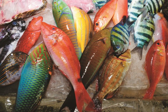 珊瑚礁魚類捕捉時還連帶著破壞珊瑚礁棲地的可能性，應避免食用