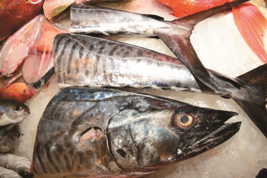 馬鮫魚（Scomberomorus ），俗名?魠魚是洄游性魚種，喜歡活動在潮流暢通的水域，為肉食性，故建議斟酌食用