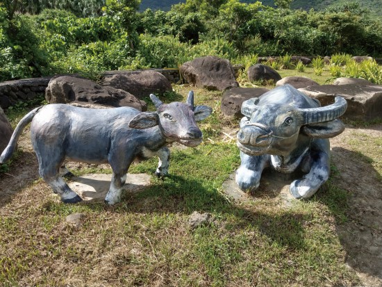 九棚社區入口意象──水牛（許多居民飼養水牛）／陳忠能