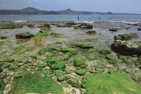 大光潮間帶生態豐富，美景無限