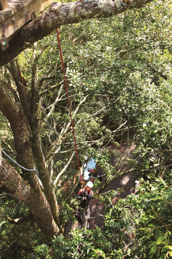 雪見樹冠層生態觀察活動