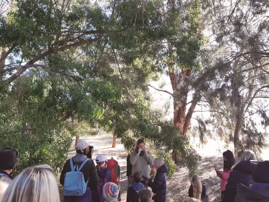 透過一連串體驗或觀察自然的行動，讓民眾與孩童，都能有機會了解其他物種及自然棲地的重要性／李珍蒂