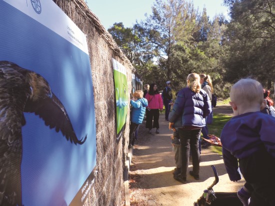濕地尋寶遊戲活動對於學前兒童是一種認識學習濕地鳥類、生物與植物的好方法／李珍蒂