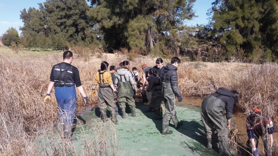 濕地平臺是蒐集浮游生物的地點／李珍蒂
