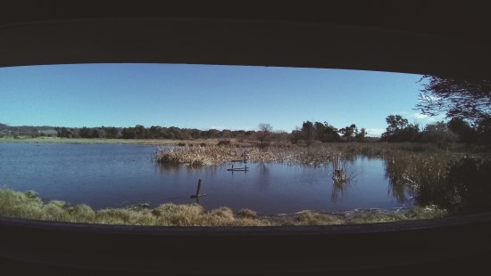 隱藏式小屋內觀察水棲生物，並將觀察經驗回饋到手作的藝術創作中／李維哲