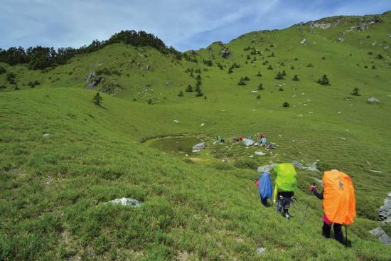 臺灣山林的生態研究靠著一步一腳印累積起來/何小綠