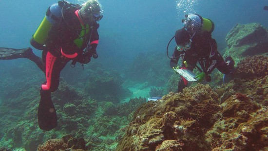 墾丁國家公園的珊瑚礁研究監測擁有長期累積的成果/內政部營建署國家公園組提供