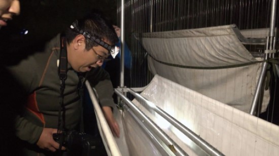 周政翰看著豎琴網收集袋中的豐富收穫──蝙蝠,難掩雀躍之情/內政部營建署國家公園組提供