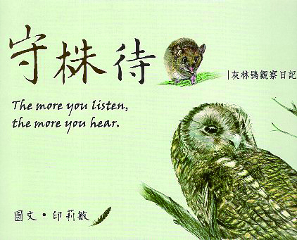 《守株待鼠》—灰林鴞觀察日記