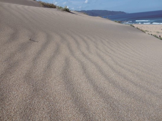 《風與砂的對話》
