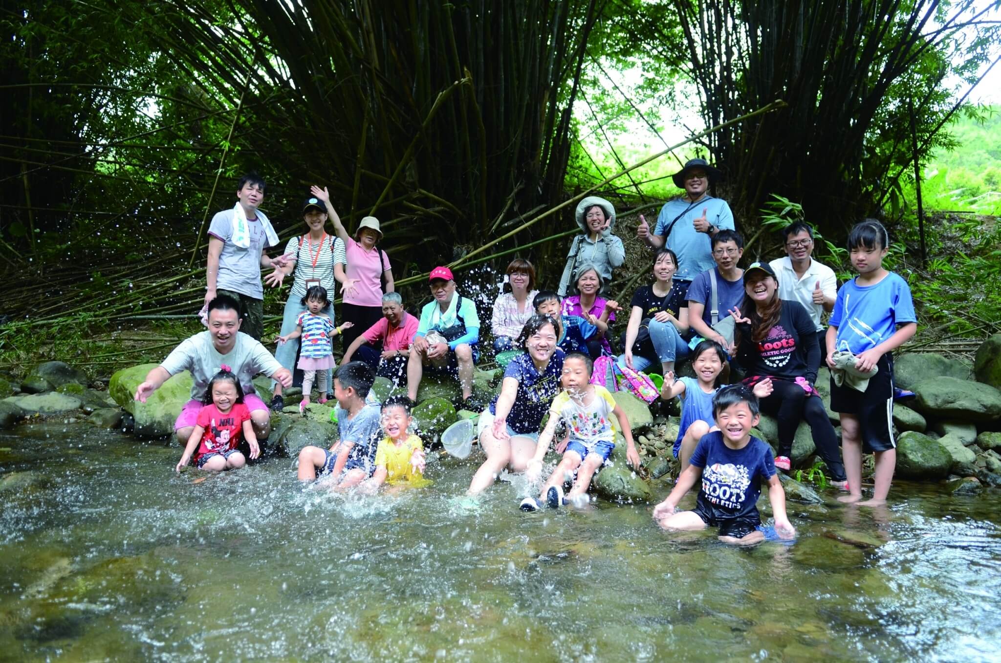 「霧裡看花」—觀霧步道植物導覽