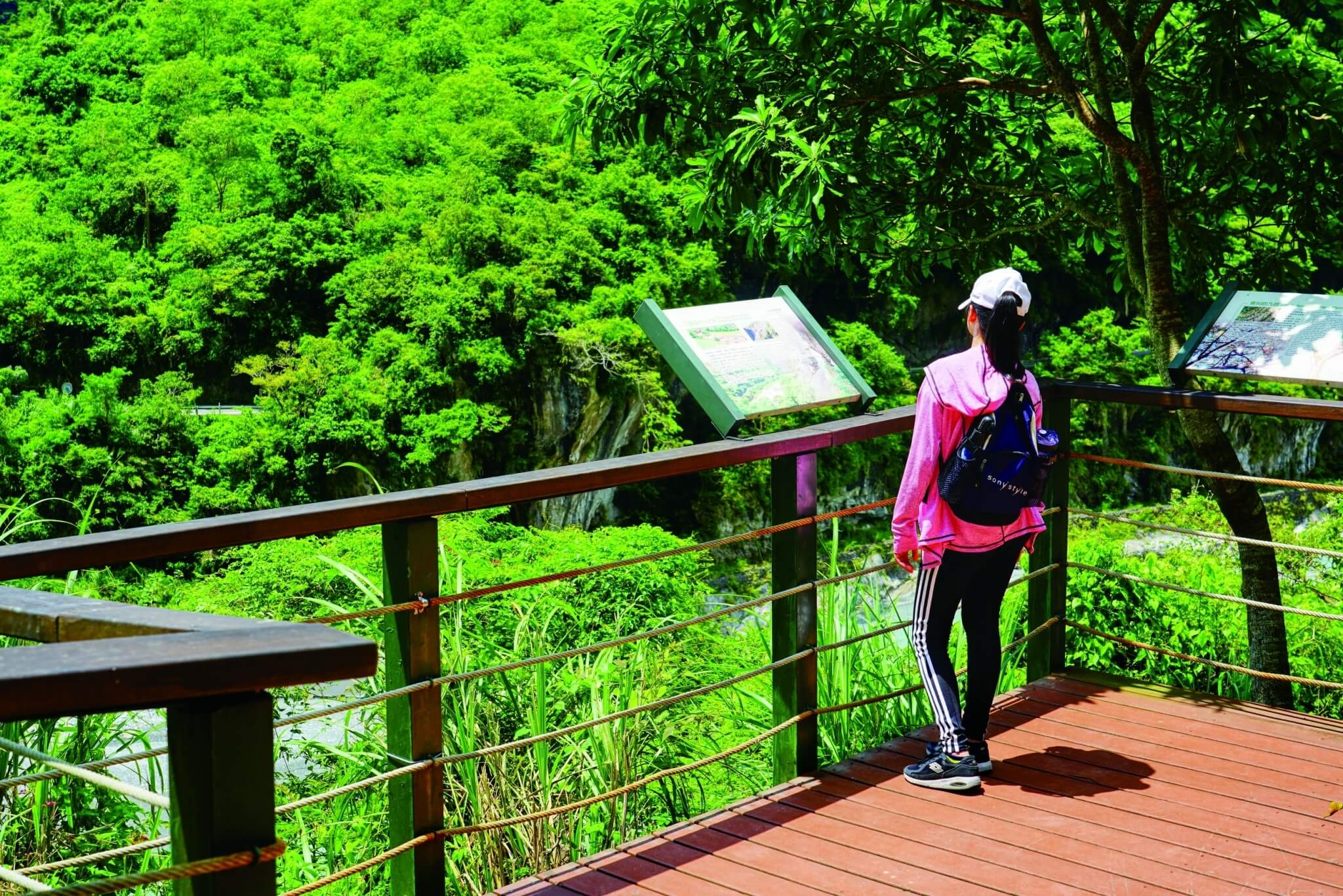 劉淑瑛希望帶孩子們走進國家公園,看見臺灣的原生魅力/楊懷智 攝