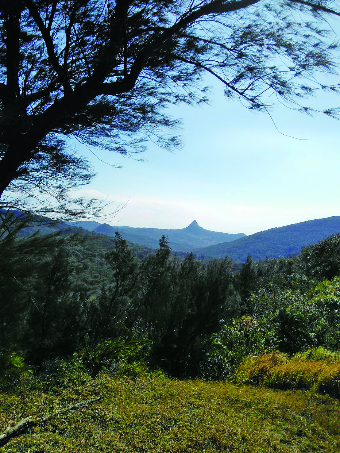 黃慈蕙經常帶著孩子走踏墾丁秘境,圖為親子恆春 為了等待難得的流星雨,皮米、皮琁在陽明山擎天崗草原冷中作樂/楊懷智 攝