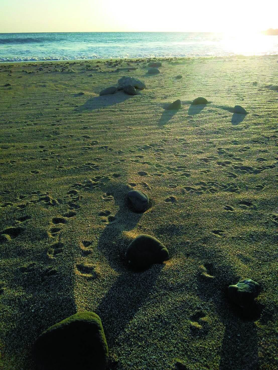 另一處靠近石牛溪的秘境,沙灘上留有鳥類的腳印/黃慈蕙 提供