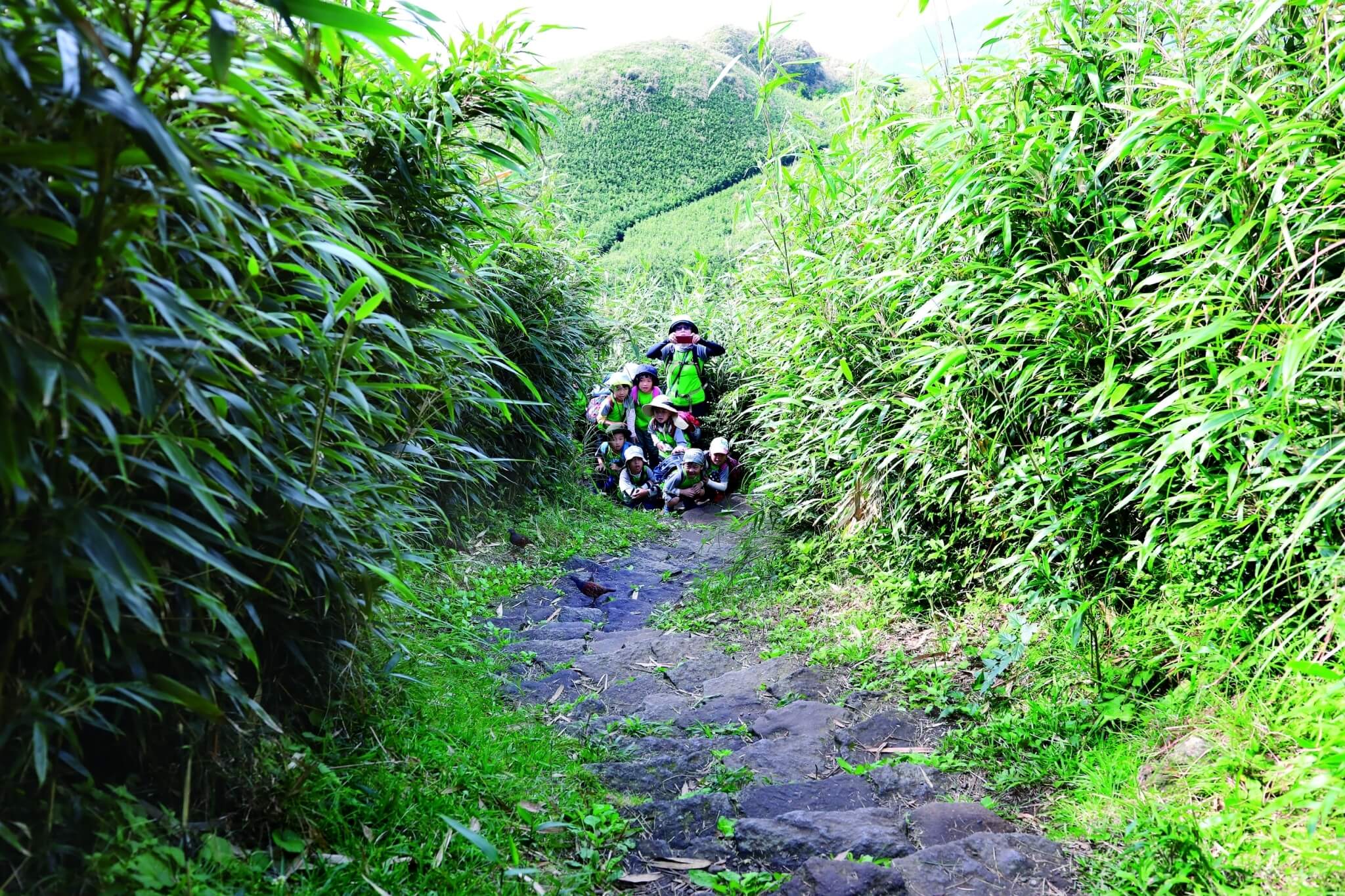 打開感官用心感受、認識環境、享受當下,比記誦生物名更重要/吳瑞太攝