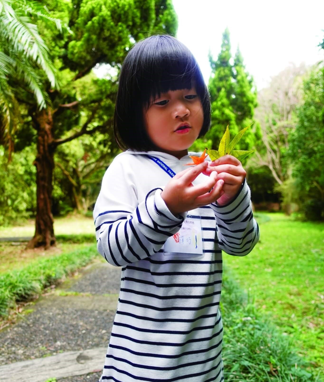 對學齡前的孩童來說,比較植物的大小、形狀、顏色都充滿趣味