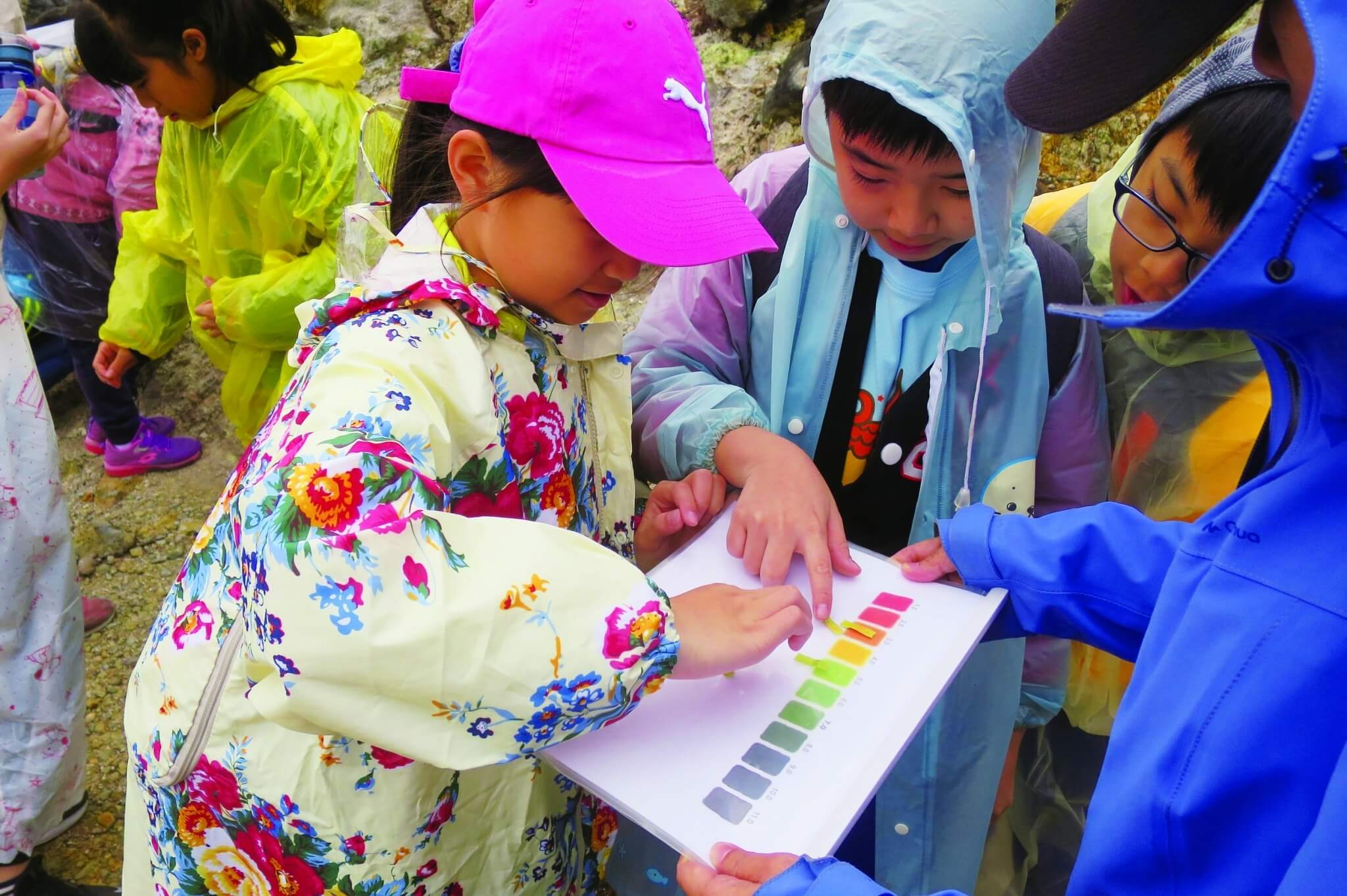 透過PH 值色調比對,能瞭解到大自然中顏色的豐富多變