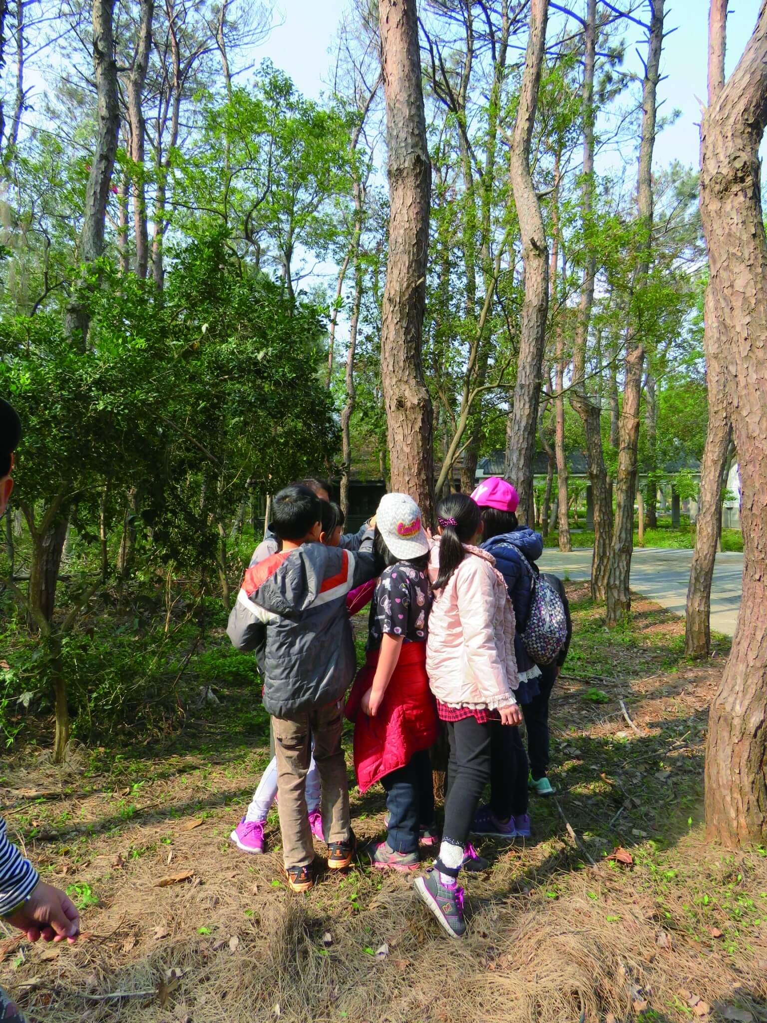 金門雖沒有大山大水,但自然環境十分適合親子親近體驗