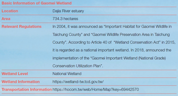 Basic Information of Gaomei Wetland