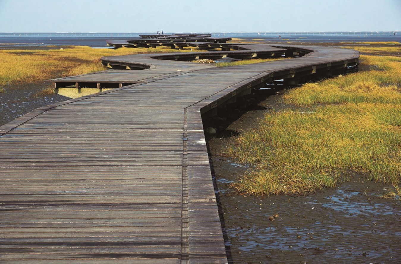 高美濕地木棧道曾多次躍上國際媒體版面/鄭清海 攝