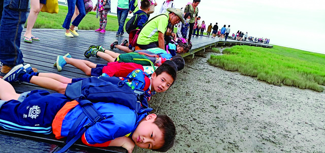 學童們在木棧道上仔細觀察螃蟹/高美濕地遊客中心 提供