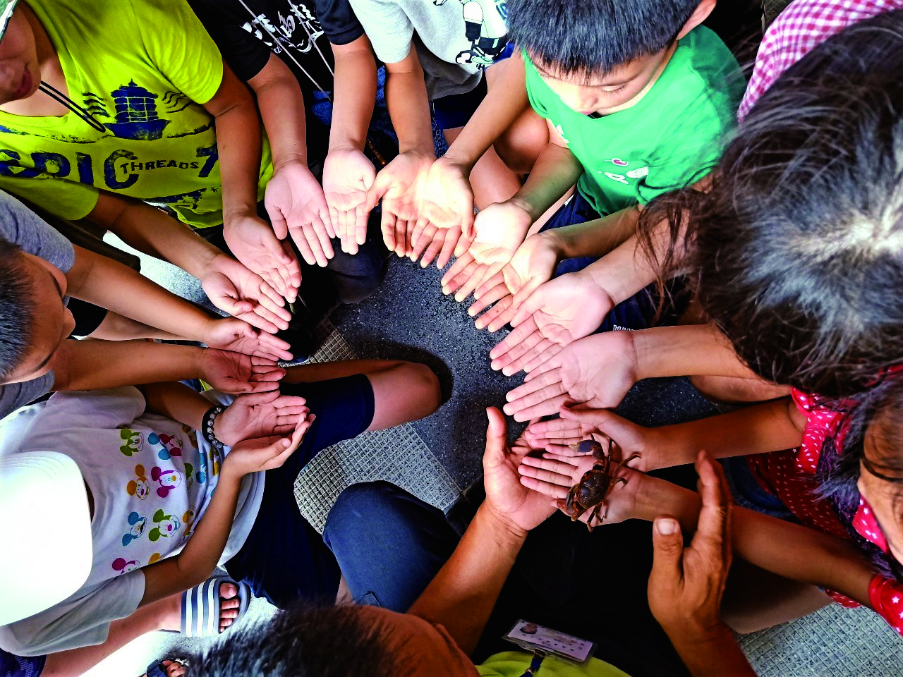 「螃蟹過手橋」讓小朋友破除恐懼,與螃蟹互動/高美濕地遊客中心 提供