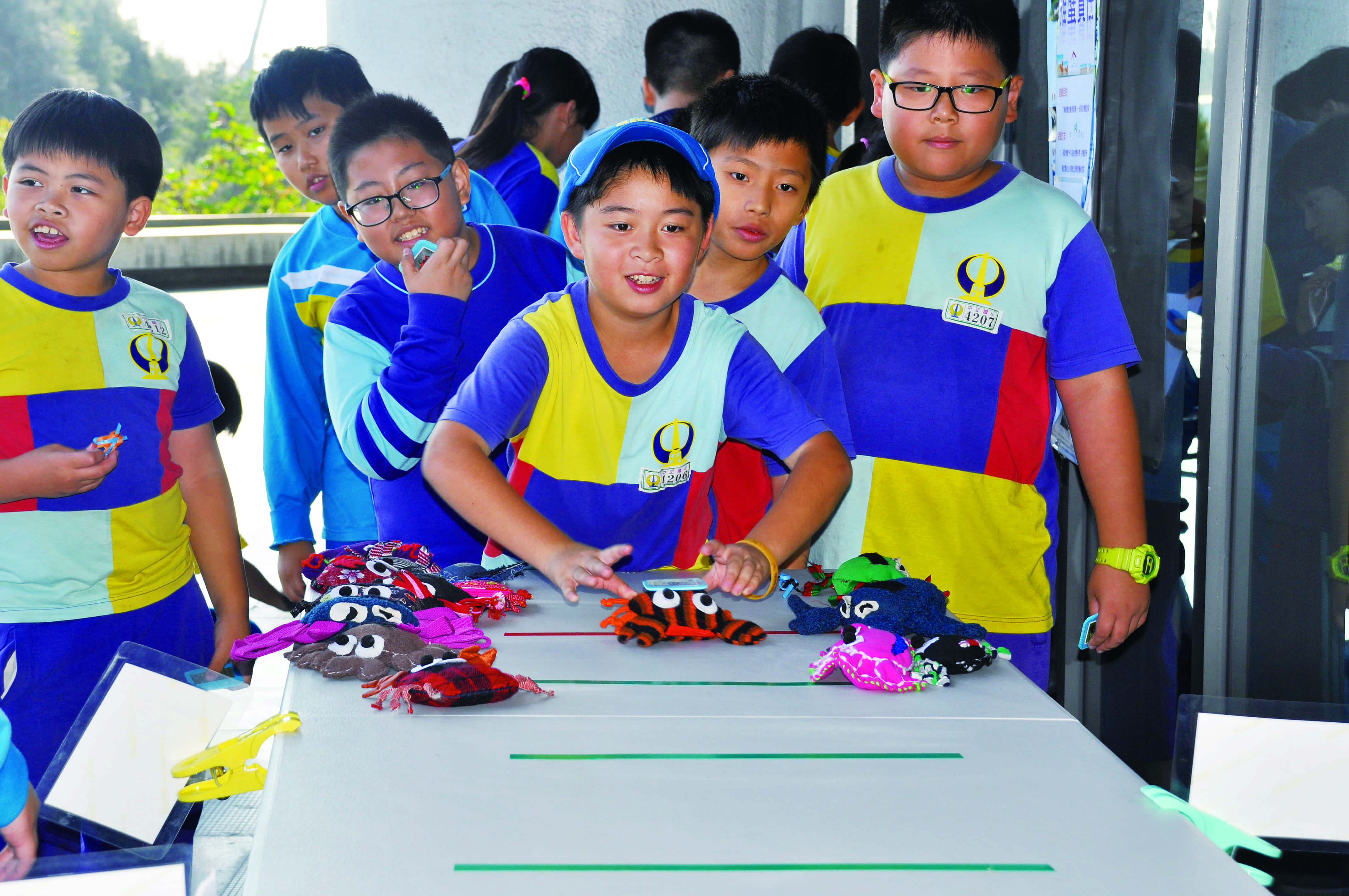 「推蟹責任」要將不同種螃蟹送回正確的家/鄭清海 攝