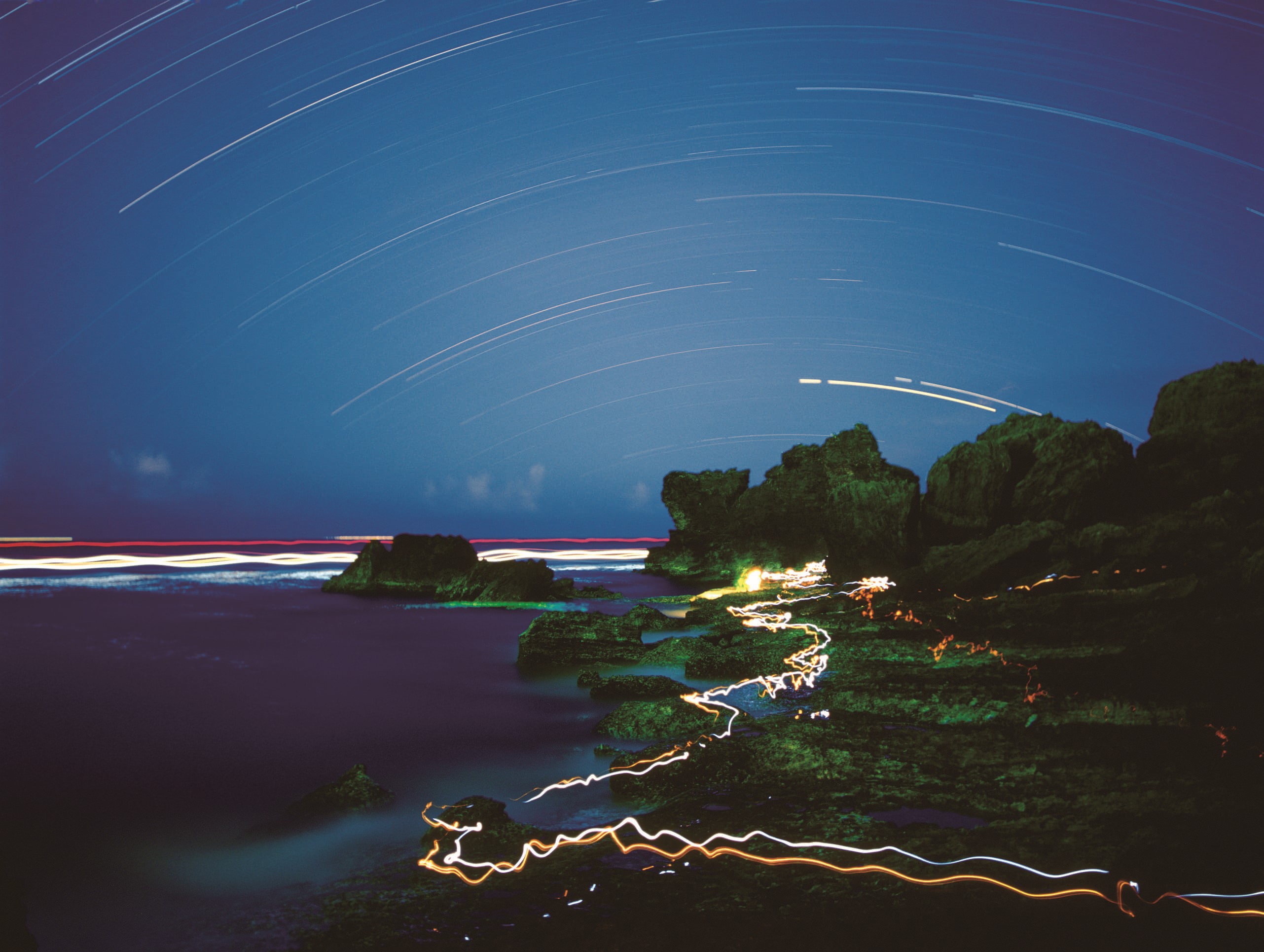 貓鼻頭的夜晚和白天一樣精彩／陳忠能 攝