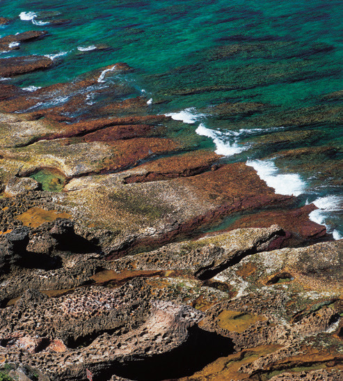 鳥瞰貓鼻頭典型的「裙礁海岸」／墾管處提供