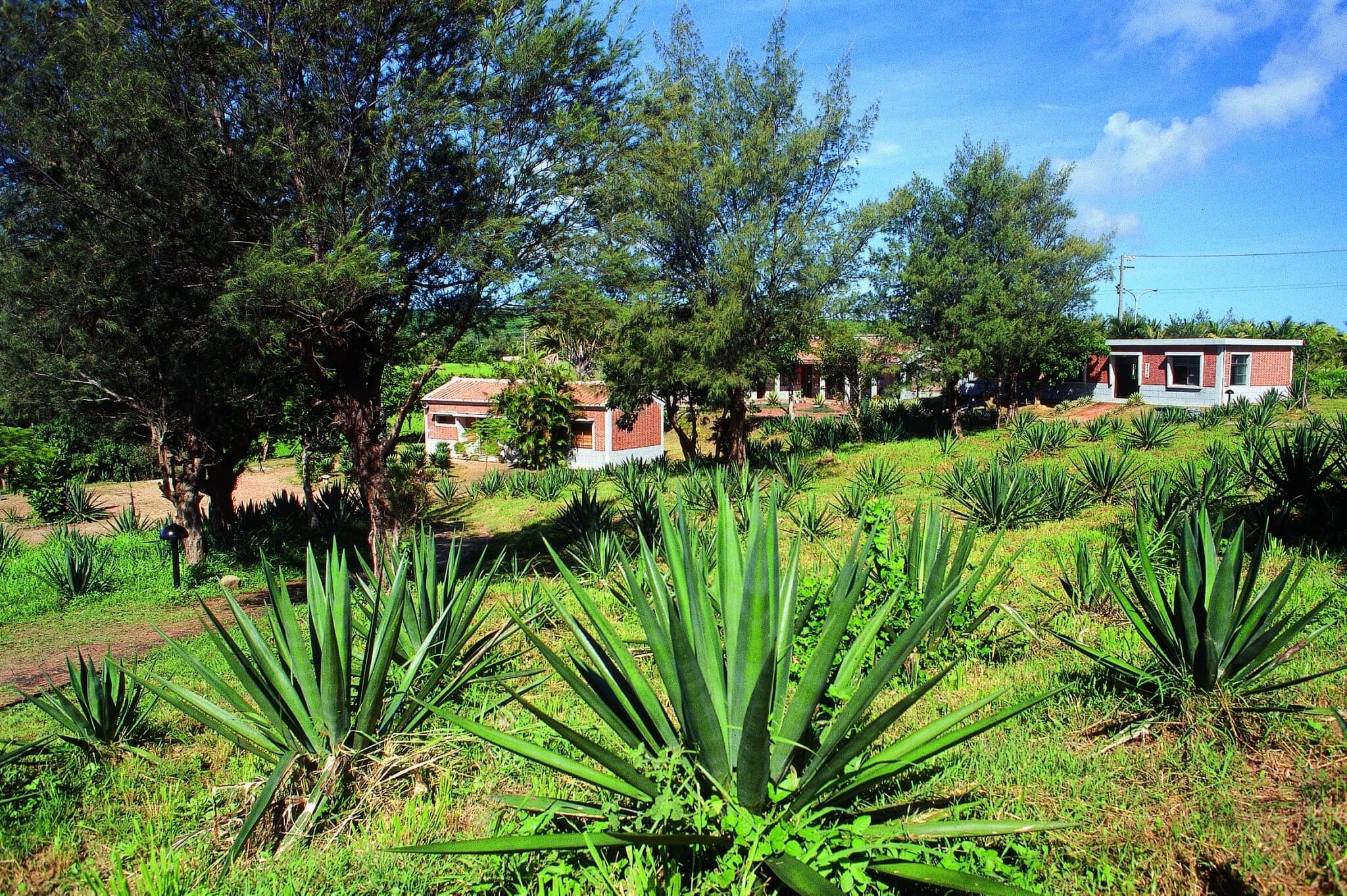 瓊麻工業歷史展示區