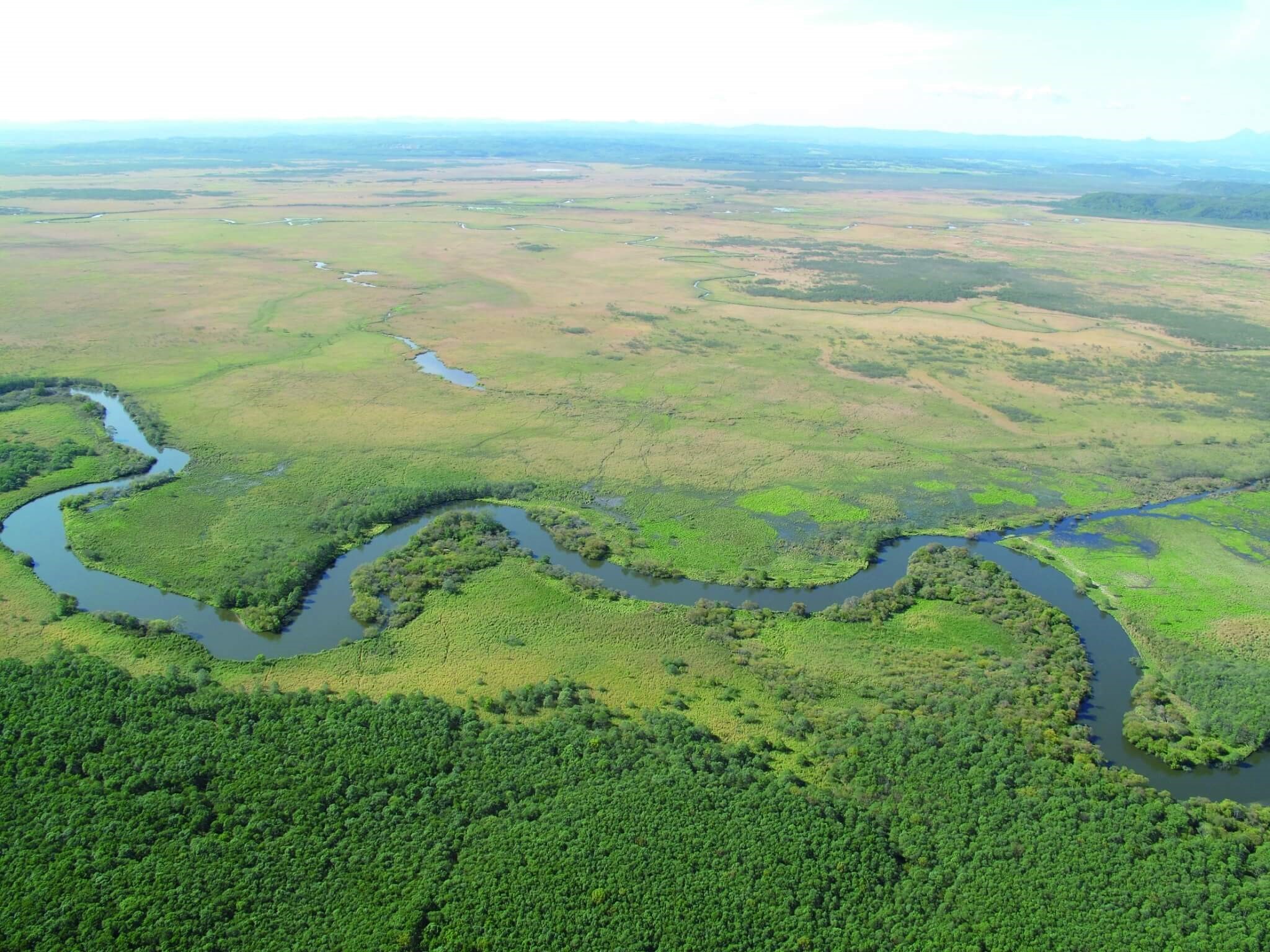 北海道釧路濕原
