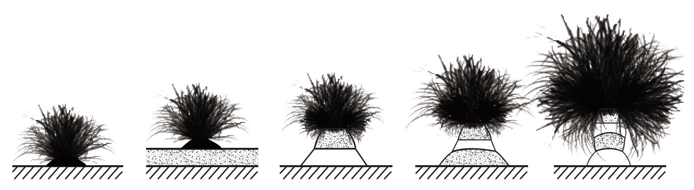 谷地坊主形成過程示意圖／哲軒 繪
