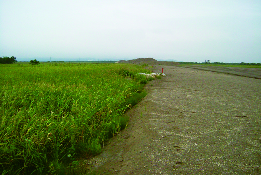 濕原農地化／環境省釧路濕原自然保護官事務所　提供