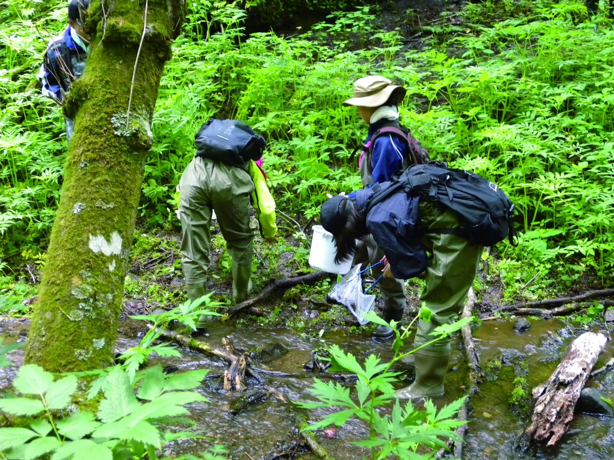由NPO 帶領民眾進行認識環境的活動／環境省釧路濕原自然保護官事務所　提供