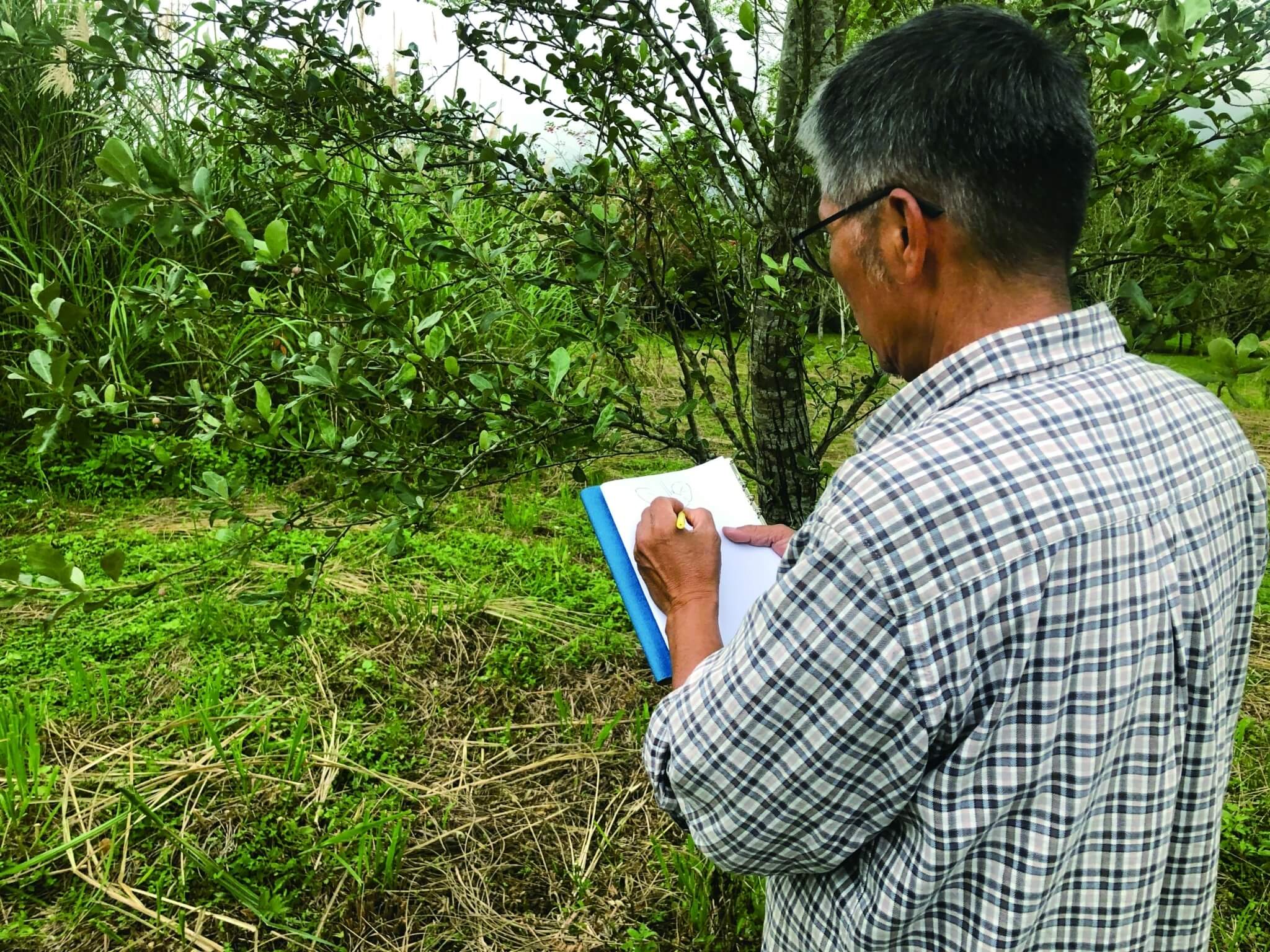 從事生態繪畫，必須養成隨時觀察與記錄的習慣／蘇士雅 攝