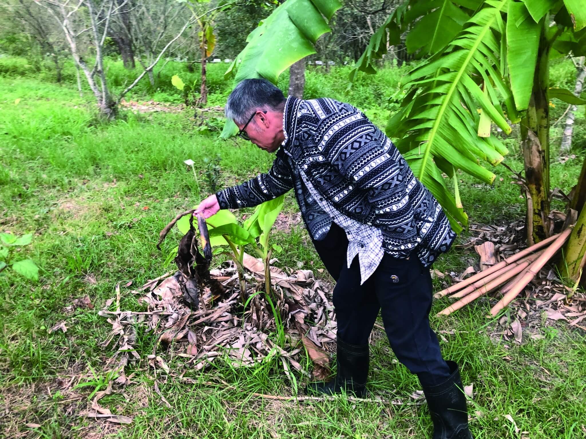 從植物被毀損的狀態了解現場有什麼野生動物出沒／蘇士雅 攝