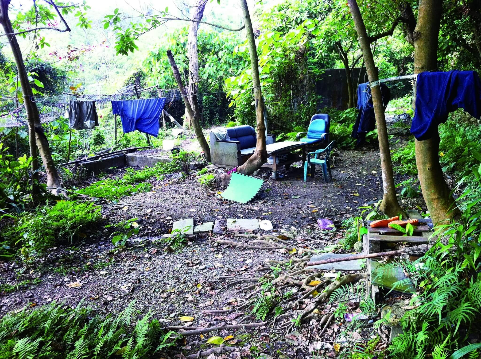 民眾私墾、私設亂象