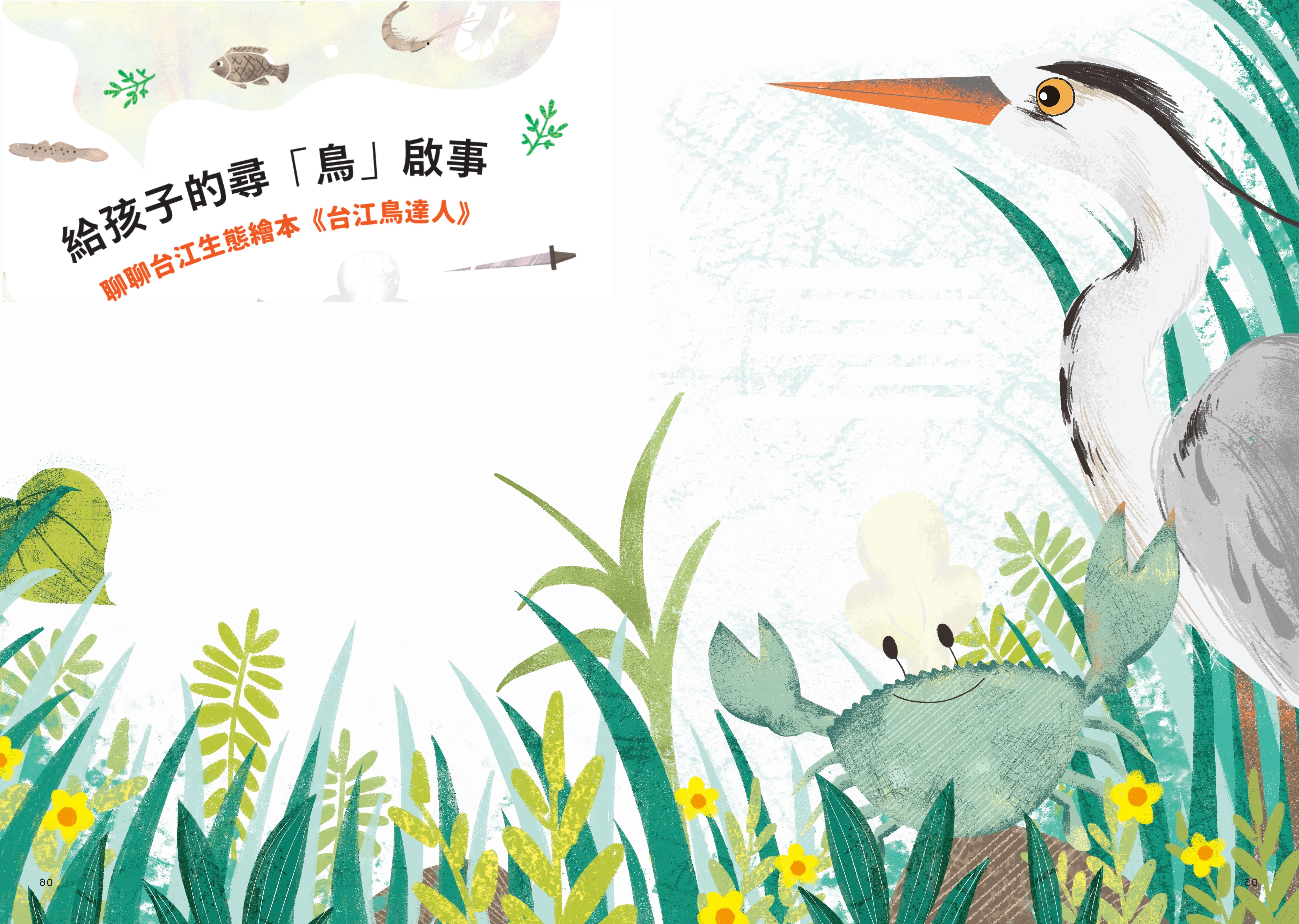 給孩子的尋「鳥」啟事-聊聊台江生態繪本《台江鳥達人》