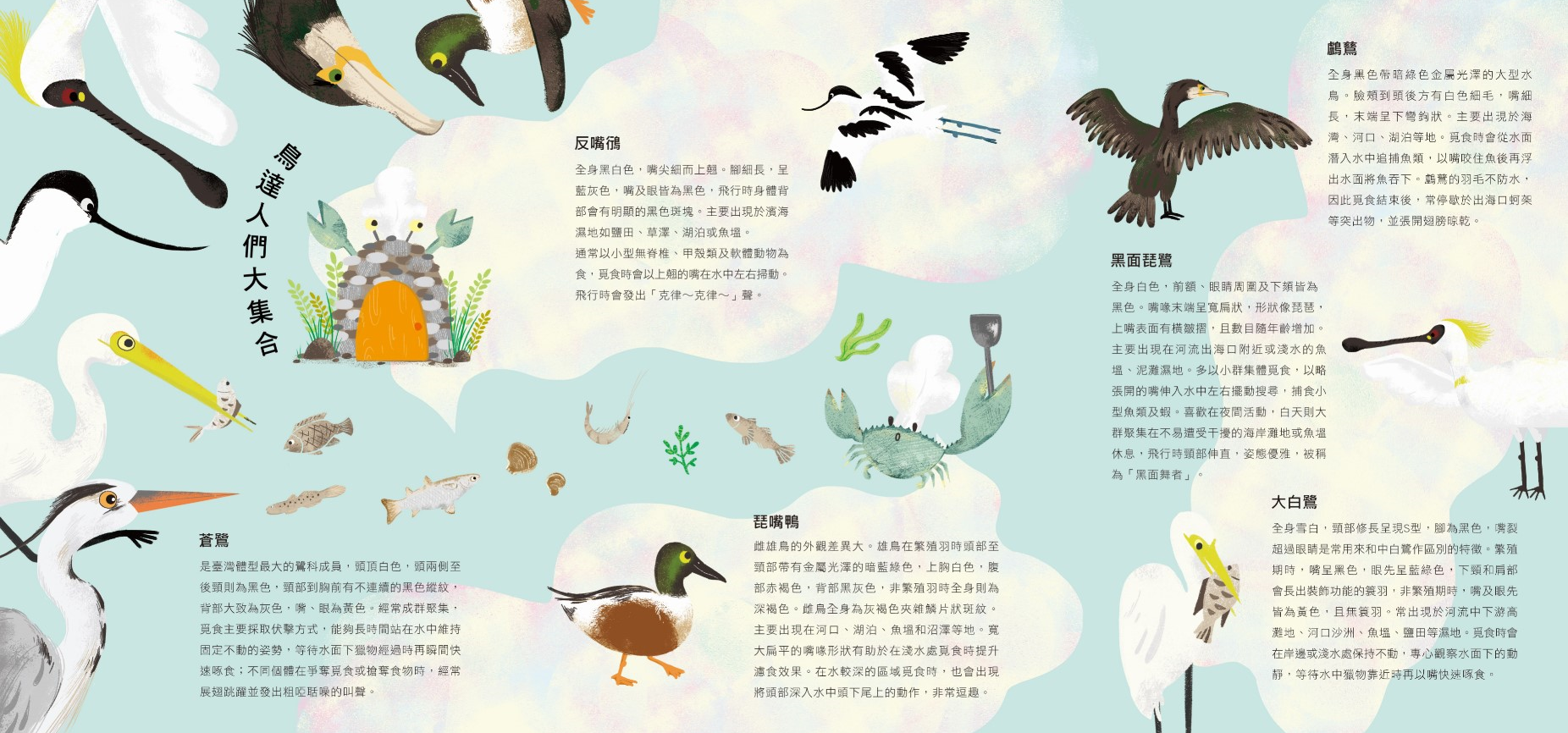 《台江鳥達人》親子共讀繪本