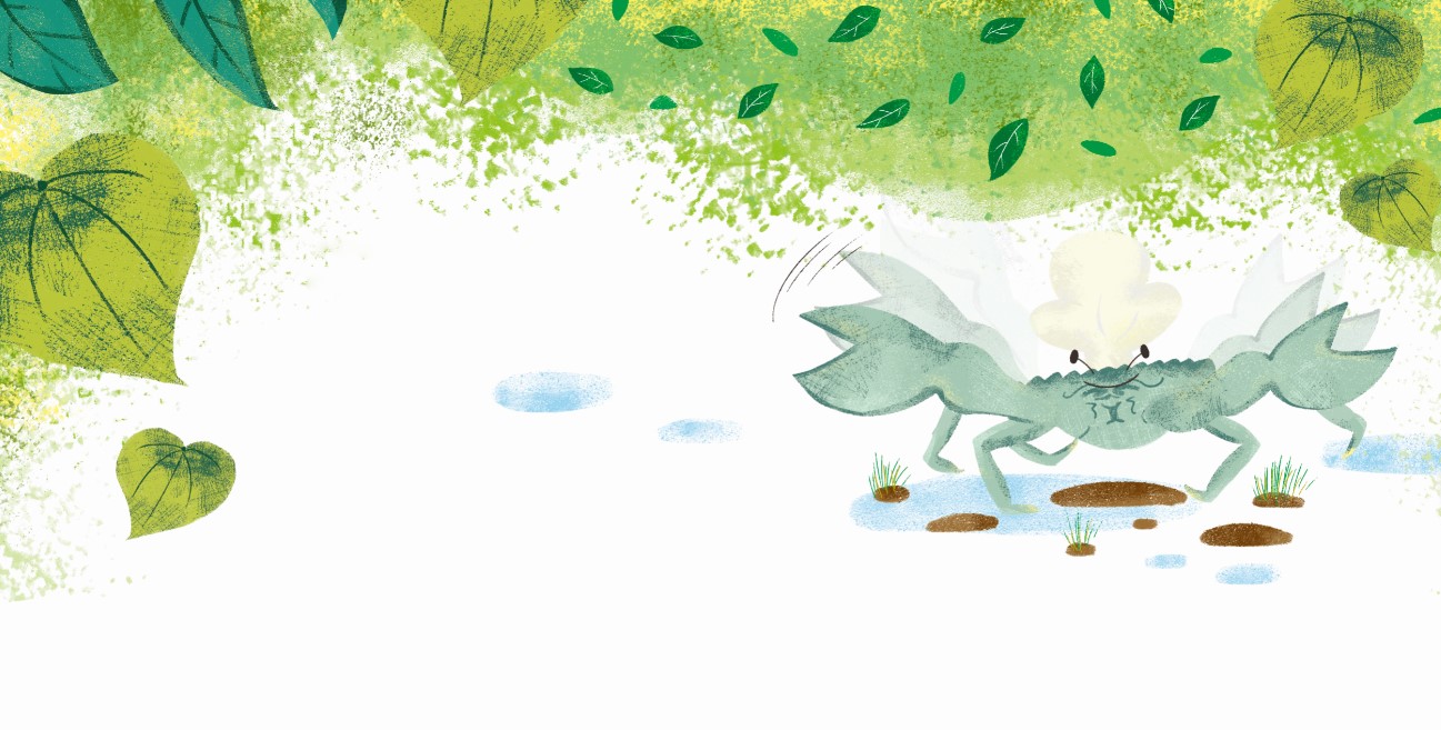 《台江鳥達人》親子共讀繪本插畫-螃蟹