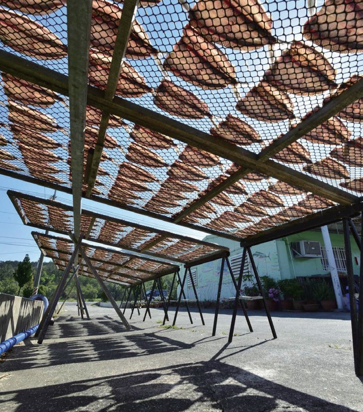 飛魚時節相約@墾丁