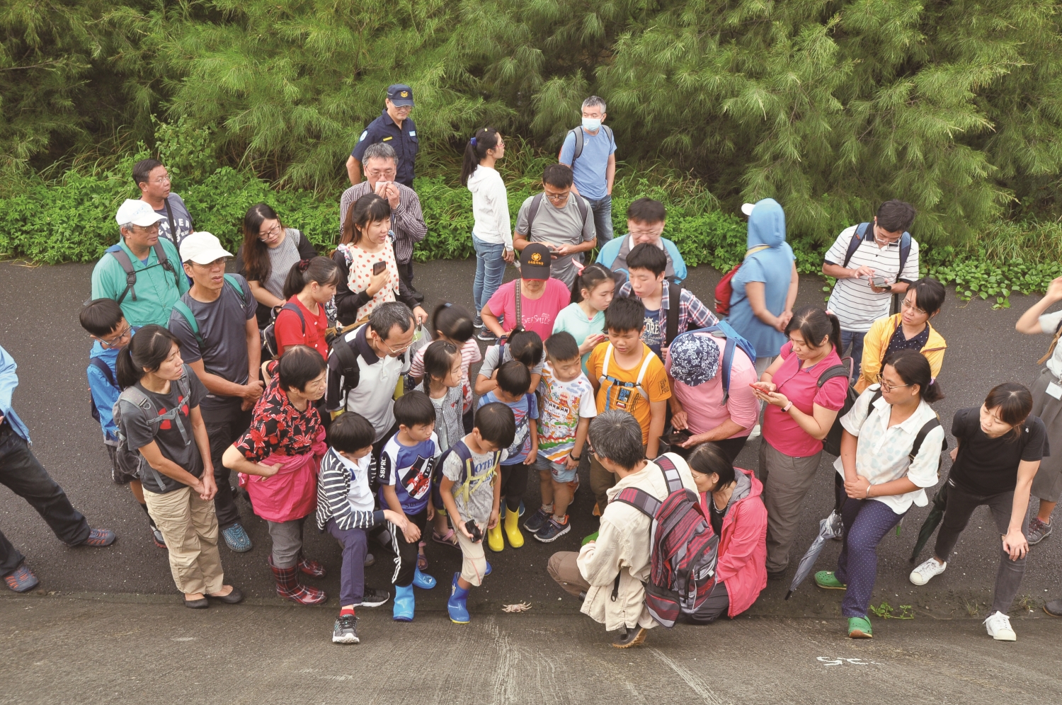蟹逅蟬鳴活動照片