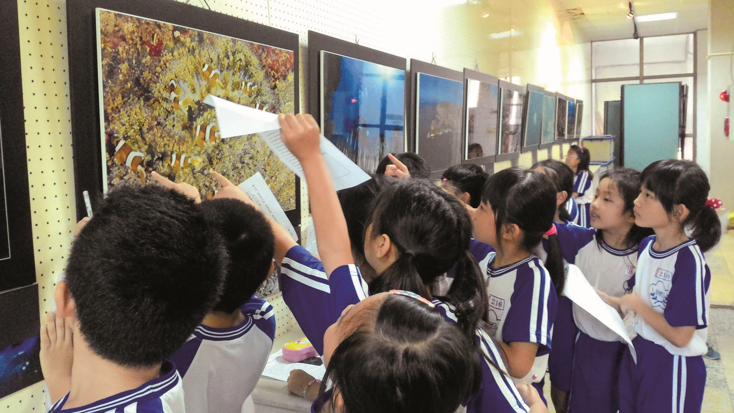 臺中市中小學海底攝影巡迴展中,學生開心的討論、完成學習單/黃興倬 提供(圖為霧峰區四德國小)